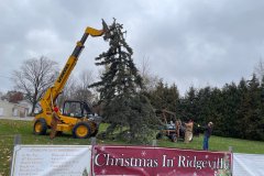 Christmas tree in uptown Ridgeville Corners